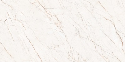 Astra 60x120 Realistik