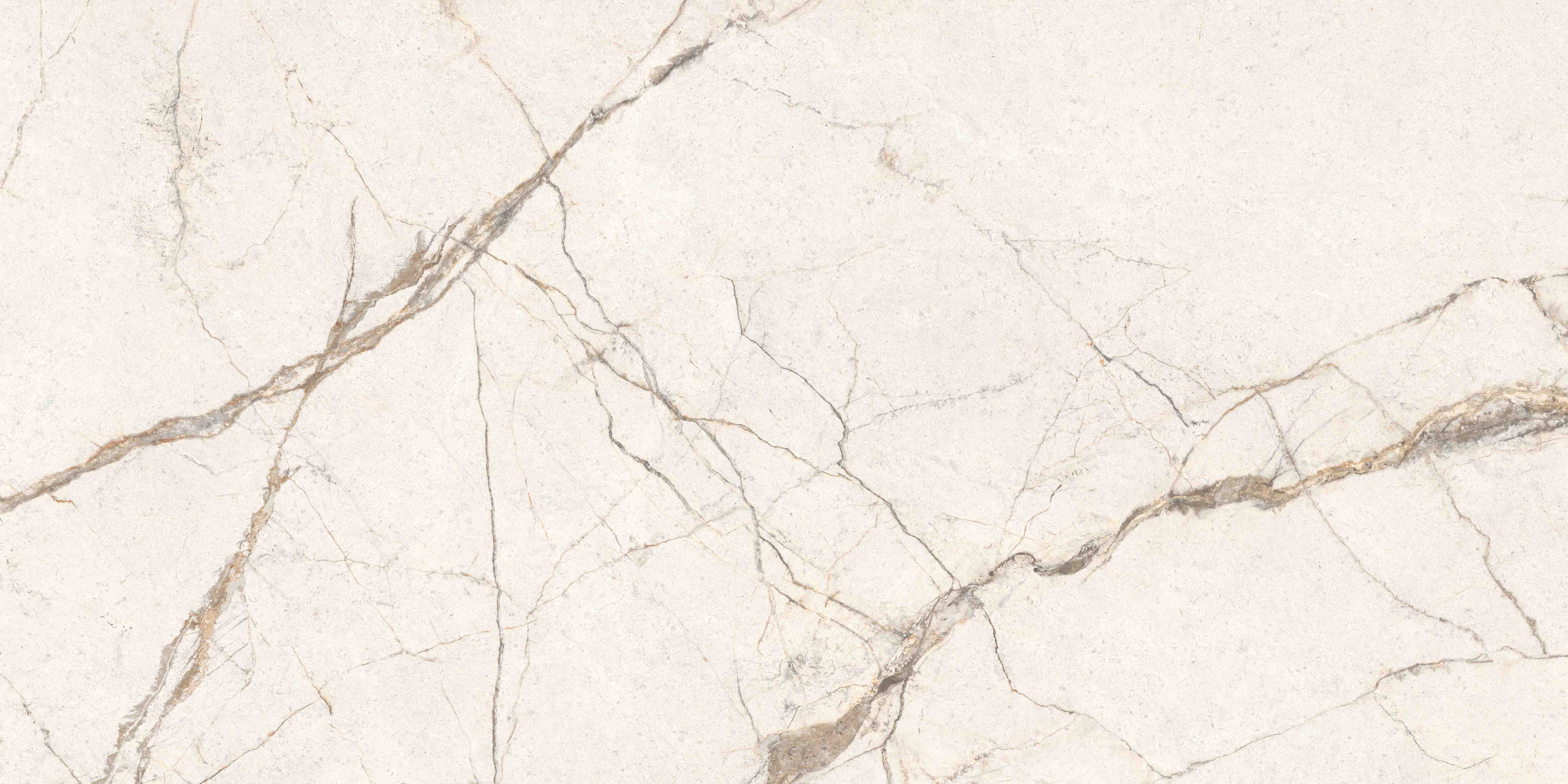 K958001R0001VTER SilverRoot Слоновая Кость Матовый R10A Ректификат 60x120 Vitra фото 8