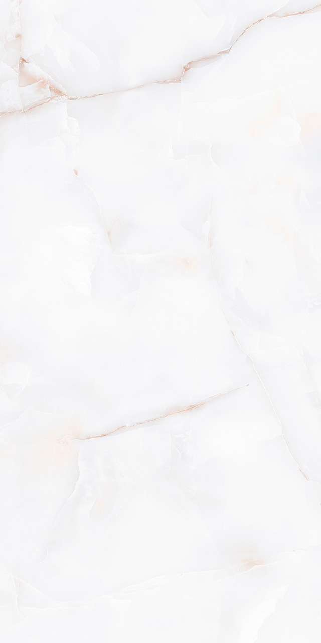 ZA-D12607 Glazed PR 1200x600x9 Vizavi фото 3