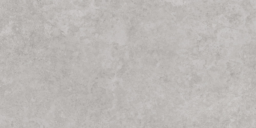 AVS-107 Antica Silver Lappato 600x1200 AVS фото 3
