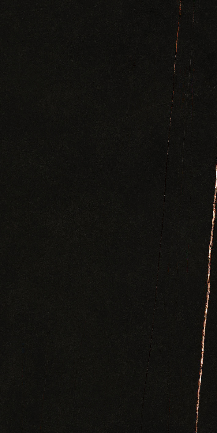 752799 Stone Sahara Noir Glossy 60x120 Casa Dolce Casa