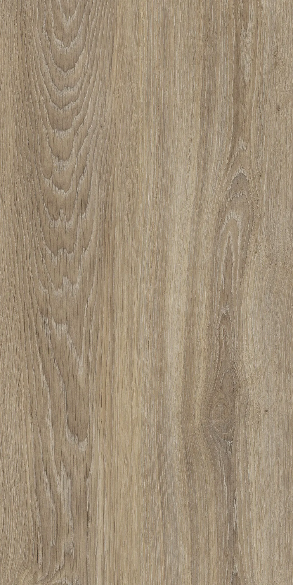 40683 Verbier Honey 4D/50X100X2/A/R 50x100 Peronda фото 5