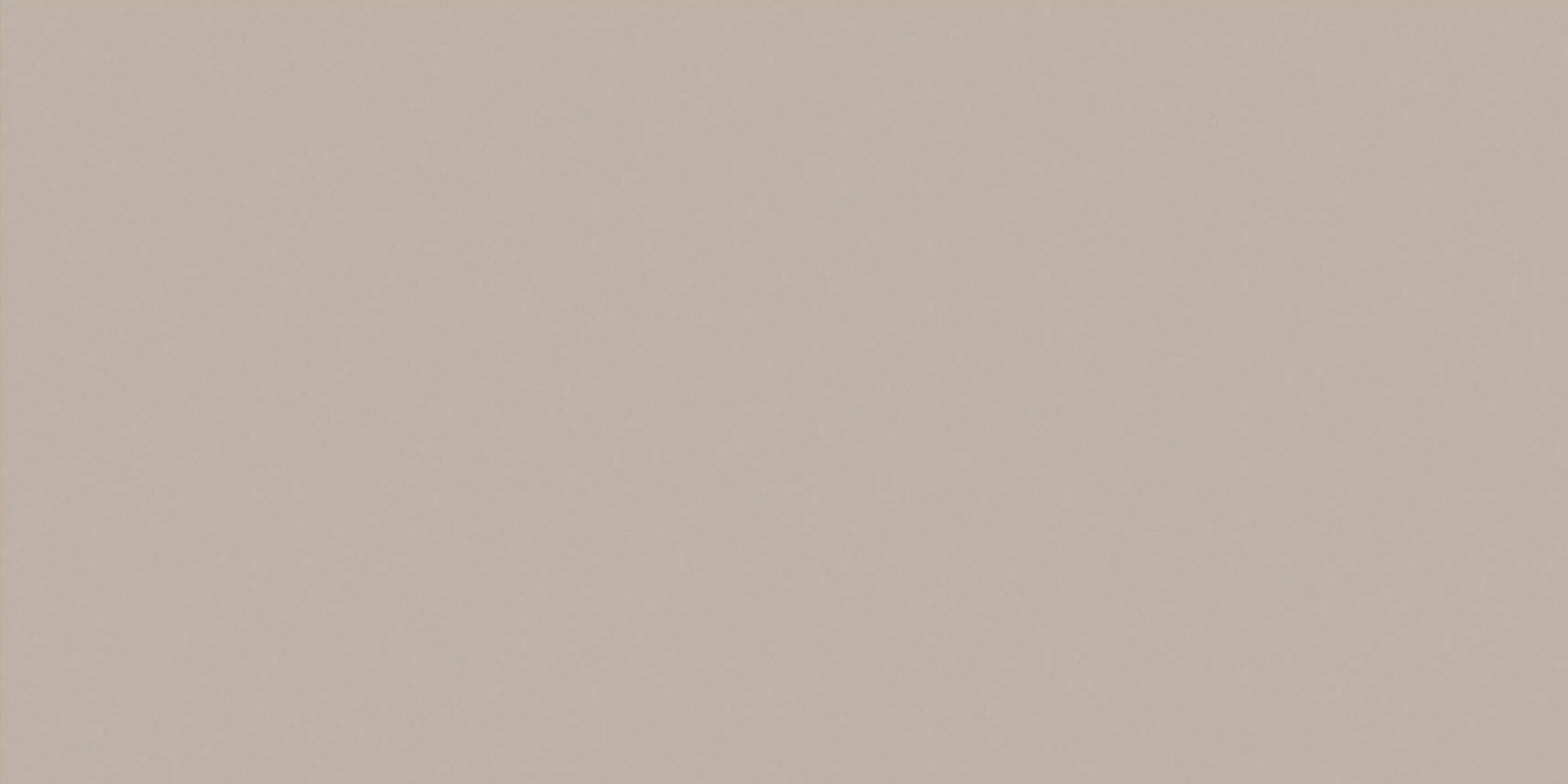 Eva Pearl Carving 60х120 Embito Granito