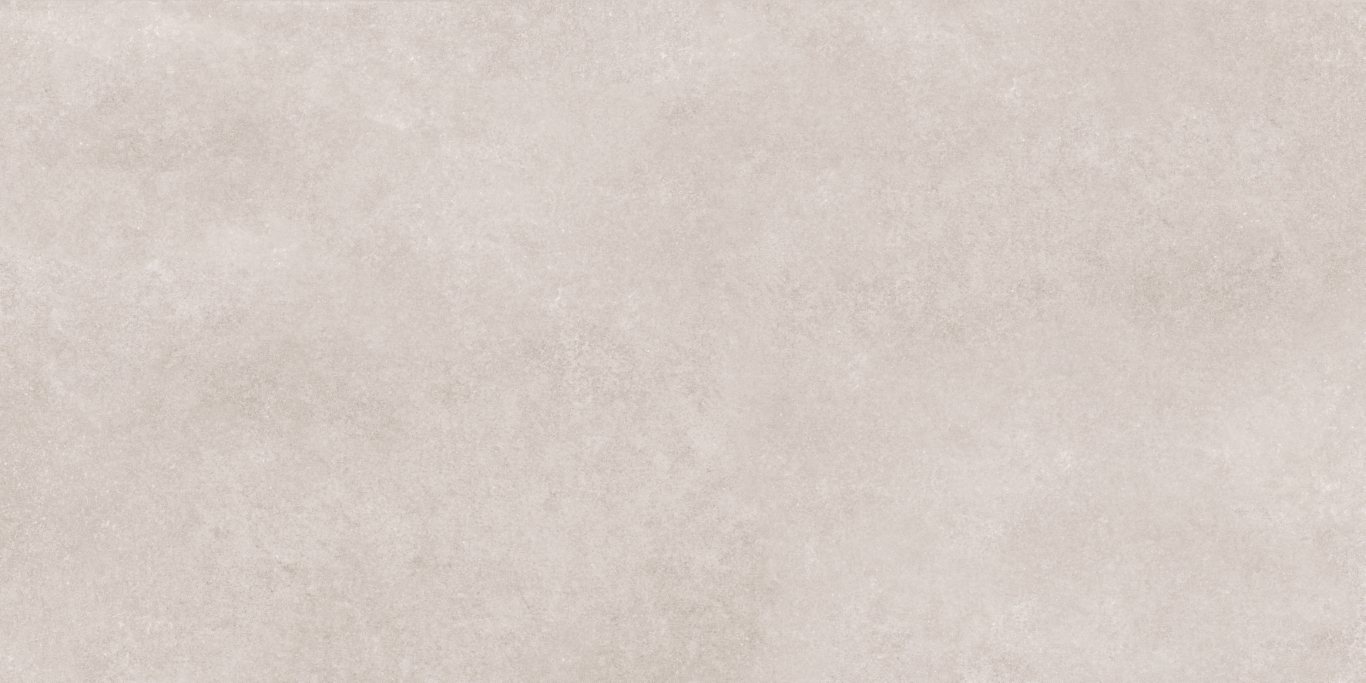 17533 Still светло-серый ректификат 60x120 Meissen