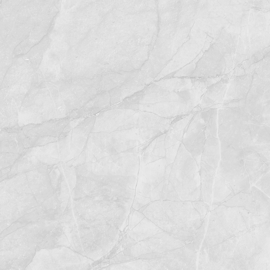 LP6060G0241R Berna Silver светло-серый матовый 59,5х59,5 Laparet
