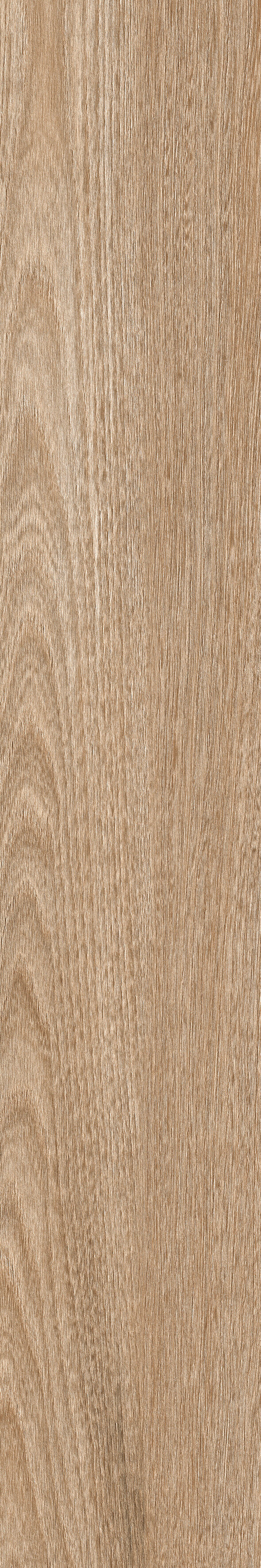 Poeme Brandy 120x20 Keraben фото 19