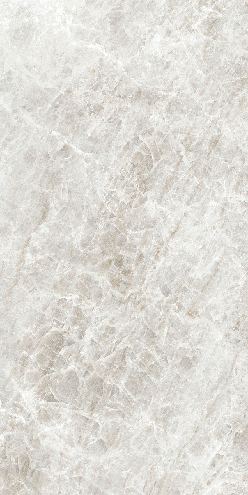 784553 Iconic Life Rice Yamuna Glossy 30x60 Cerim фото 18