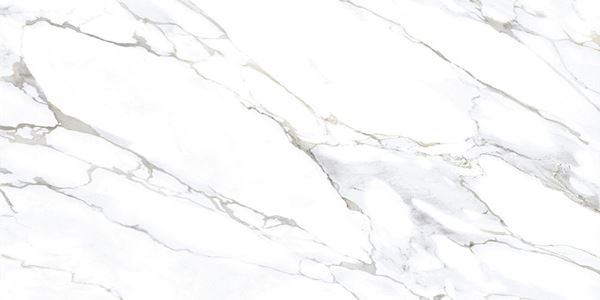 Monster White 80x160 Gravita