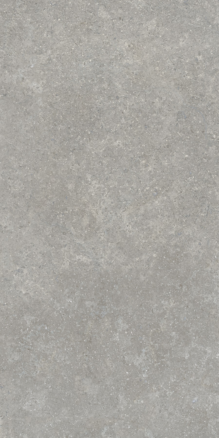K948634R0001VTER SandStone Серый Матовый R10A Ректификат 60х120 Vitra