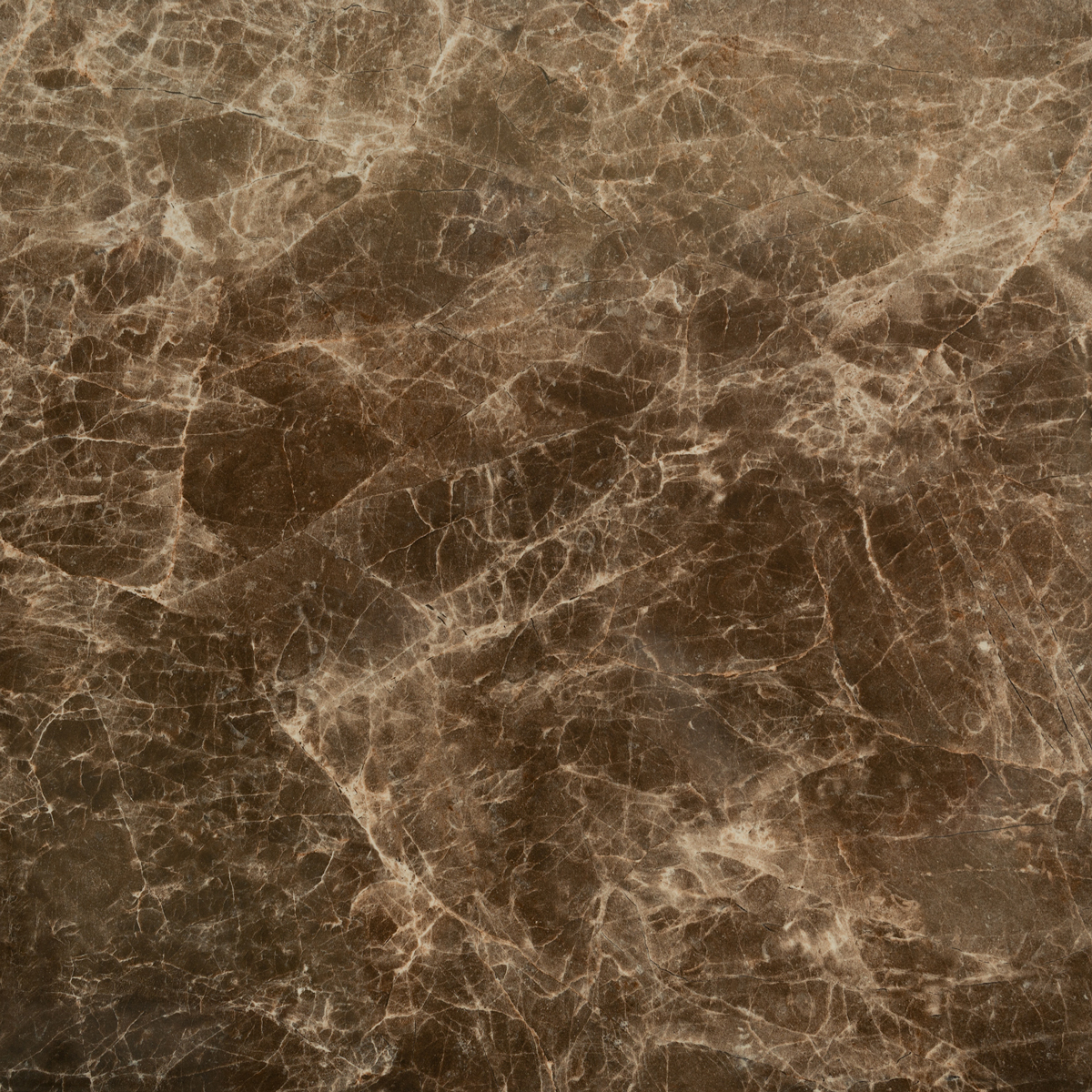 Giona Marron Rectificado 60*60 Pamesa