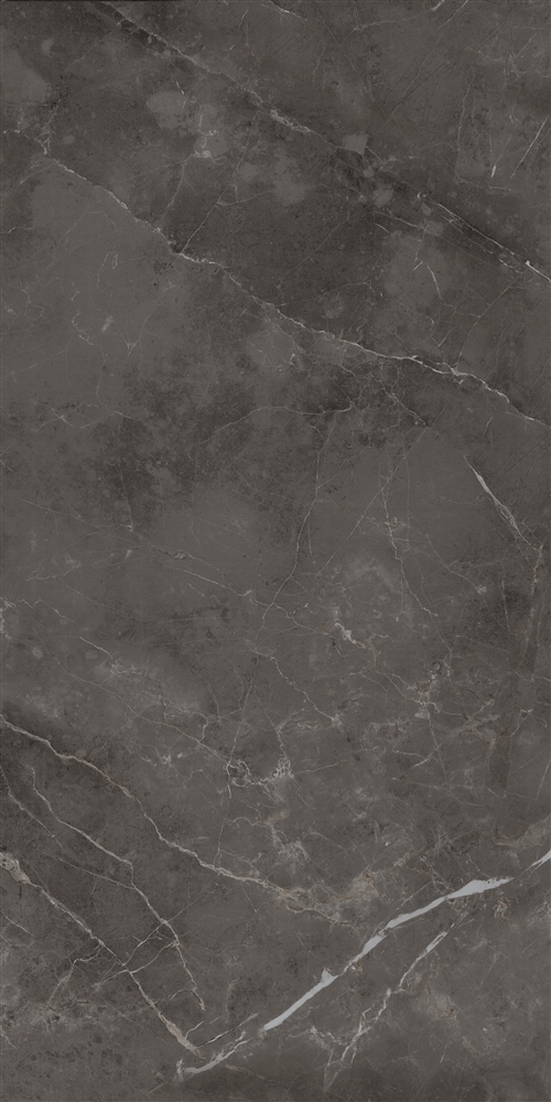 458 Флора грэй полированный 60x120 Eurotile Ceramica