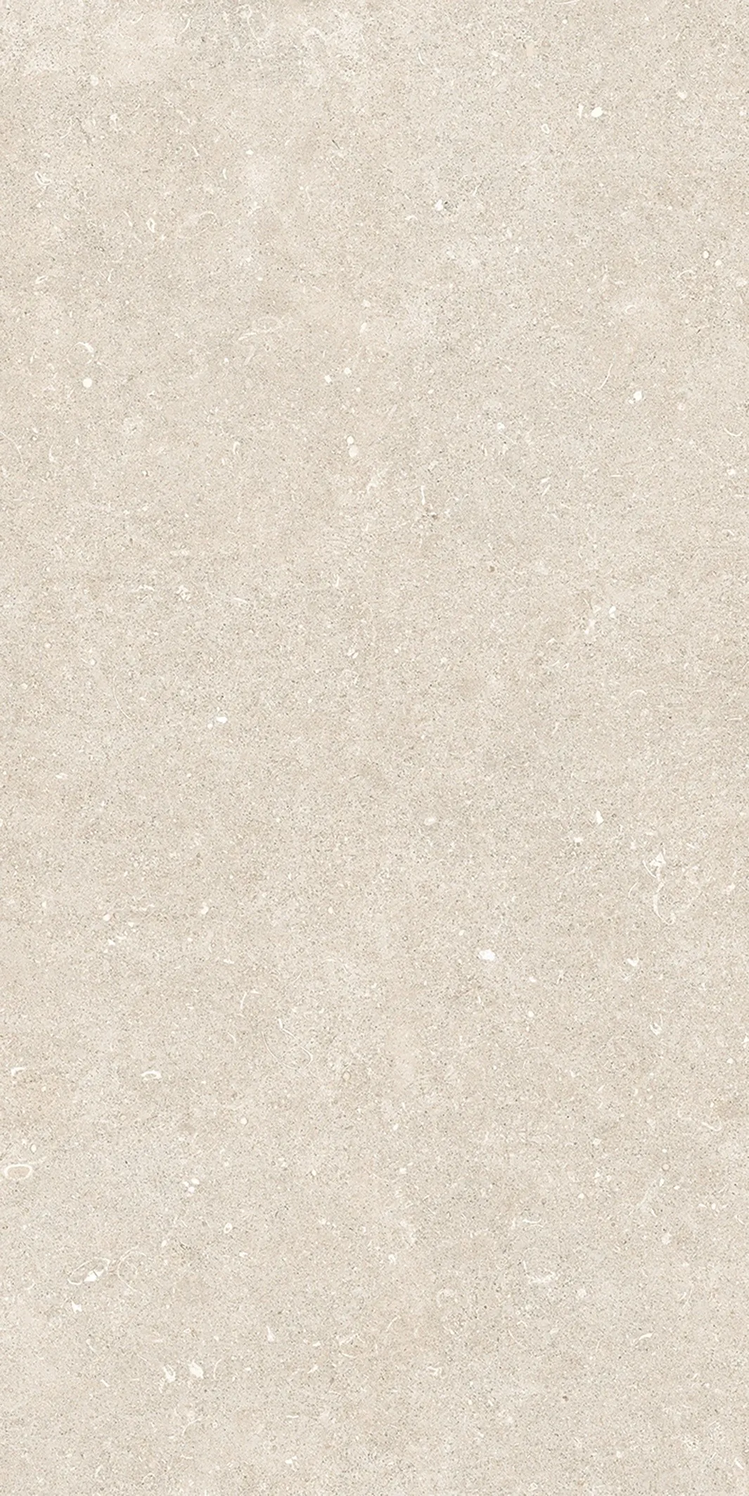 785574 Rinascenza Arena Bianco Antico Matte 6mm 60x120 Casa Dolce Casa