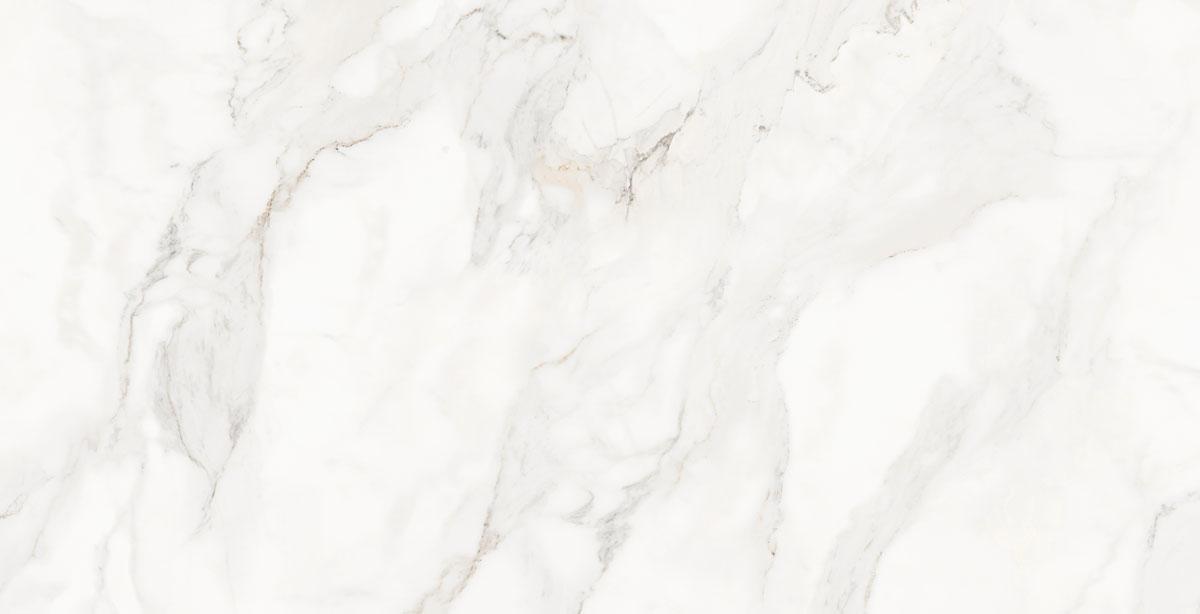 N9610T46 Damoon Gray Polished Rect 60х120 Novin Ceram Yazd Tile Co