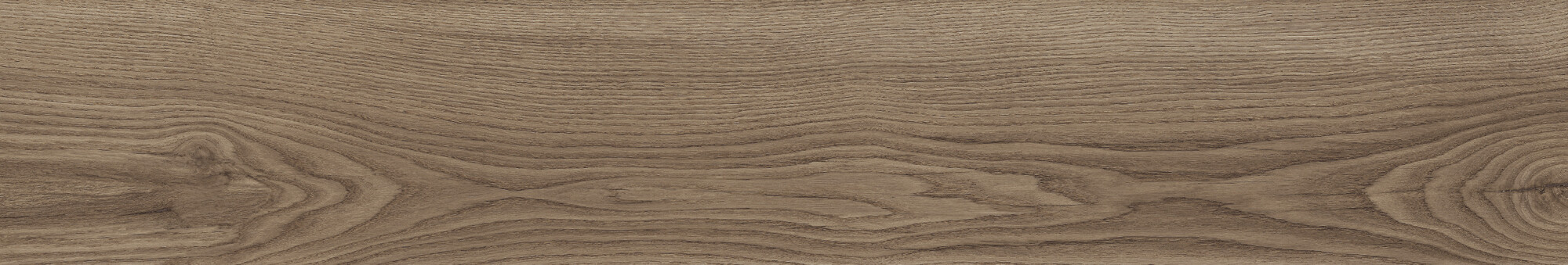 41729 Bloom Cognac SP/24x151x0,9/R 24x151 Peronda