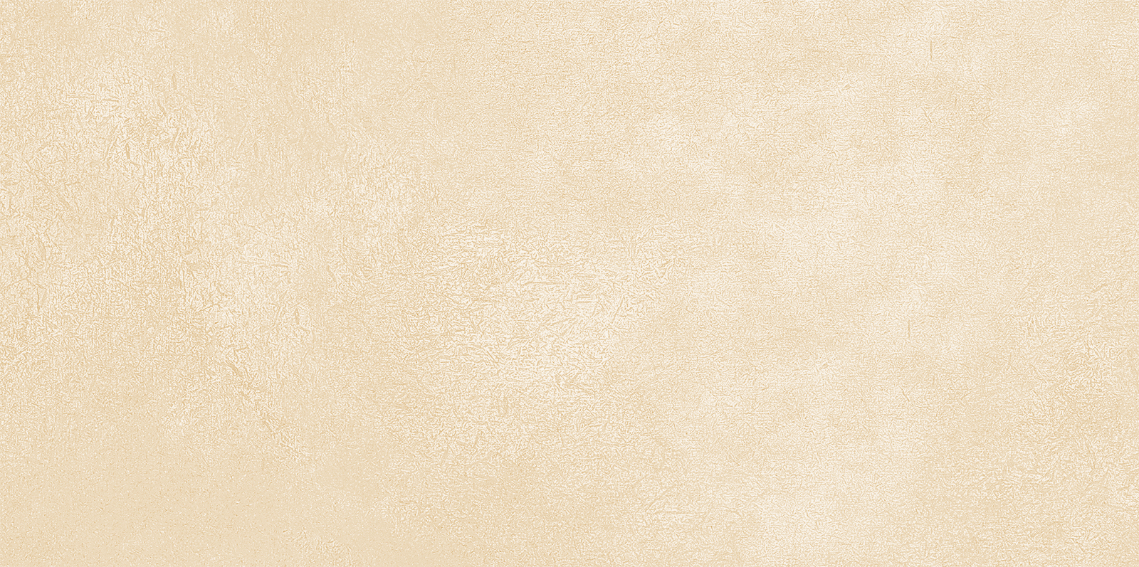 WT9PET11 Petra Beige 24.9х50 AltaCera