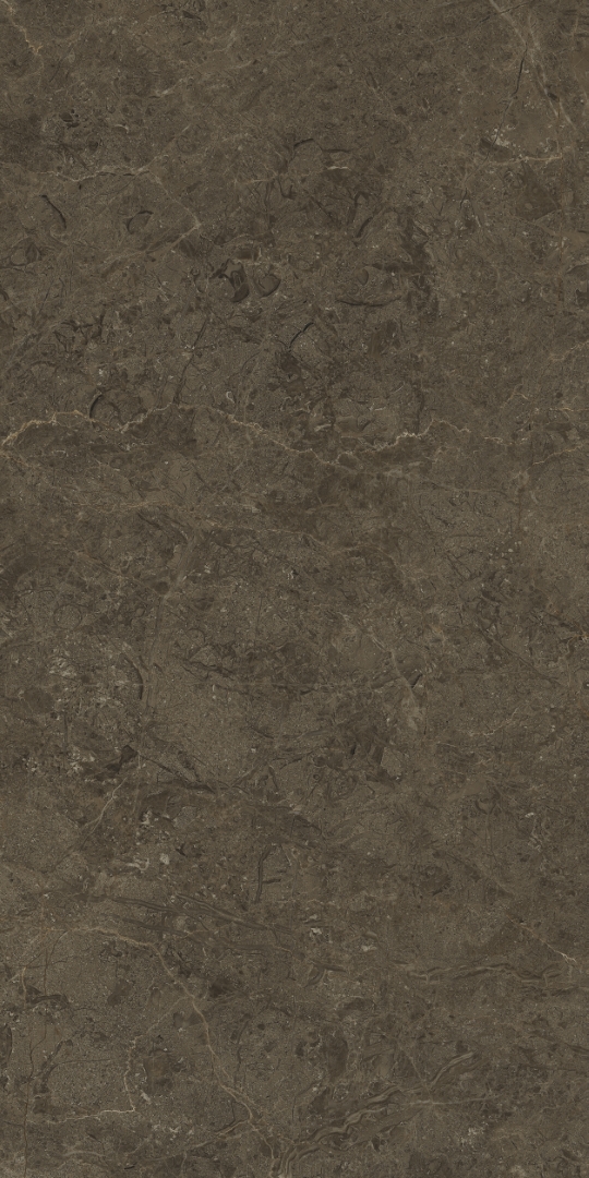 PT12F7039 Neapol Brown Matt 1200х600х9 Protiles