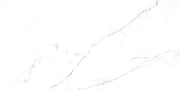 SG50002420R Discovery Blanco белый 60х119,5 Laparet