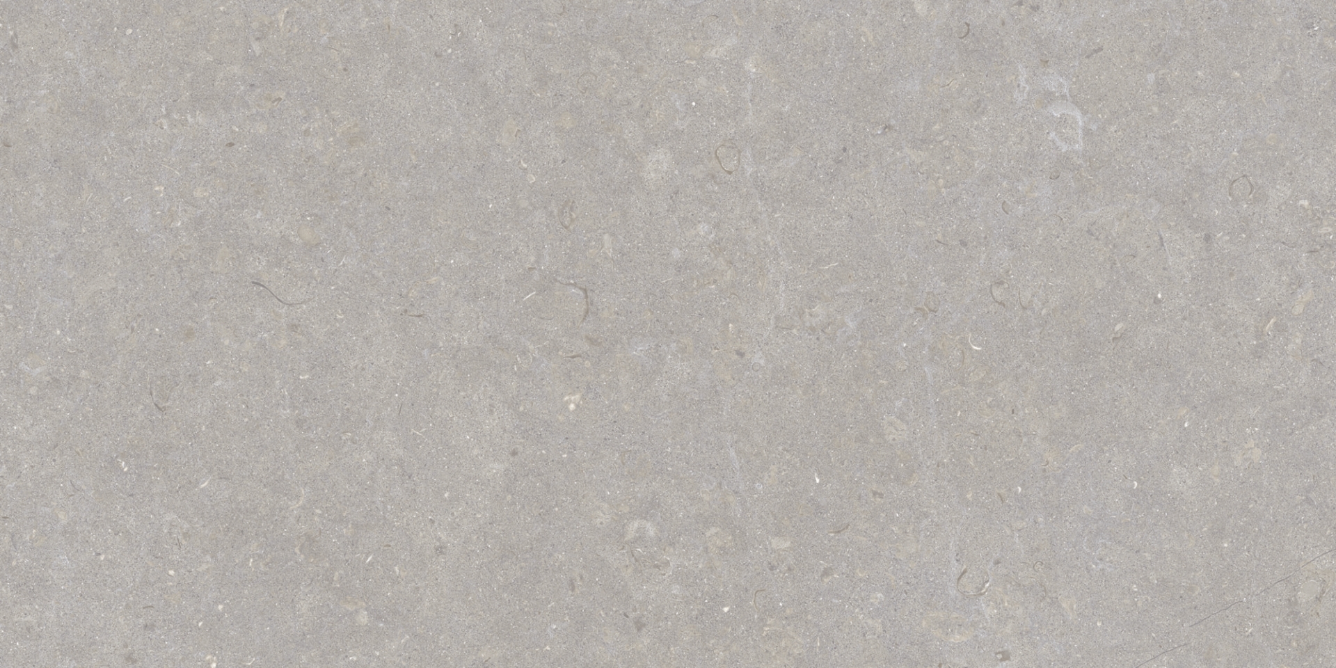 35568 Ghent Grey/50X100X2/A/R 50x100 Peronda фото 18