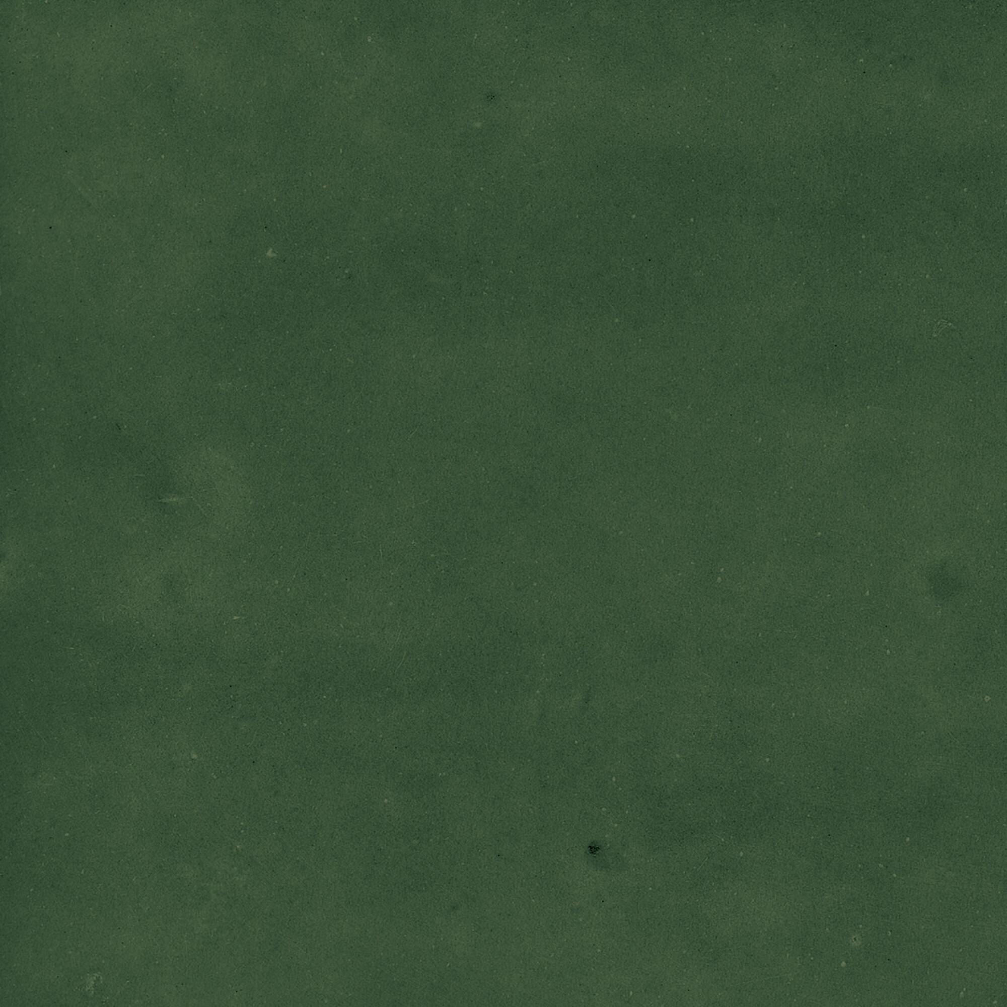 43289 Samira Green 10x10 Harmony фото 22