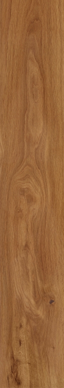 FR01 Forest Amber неполированный 19,4х120 Creto