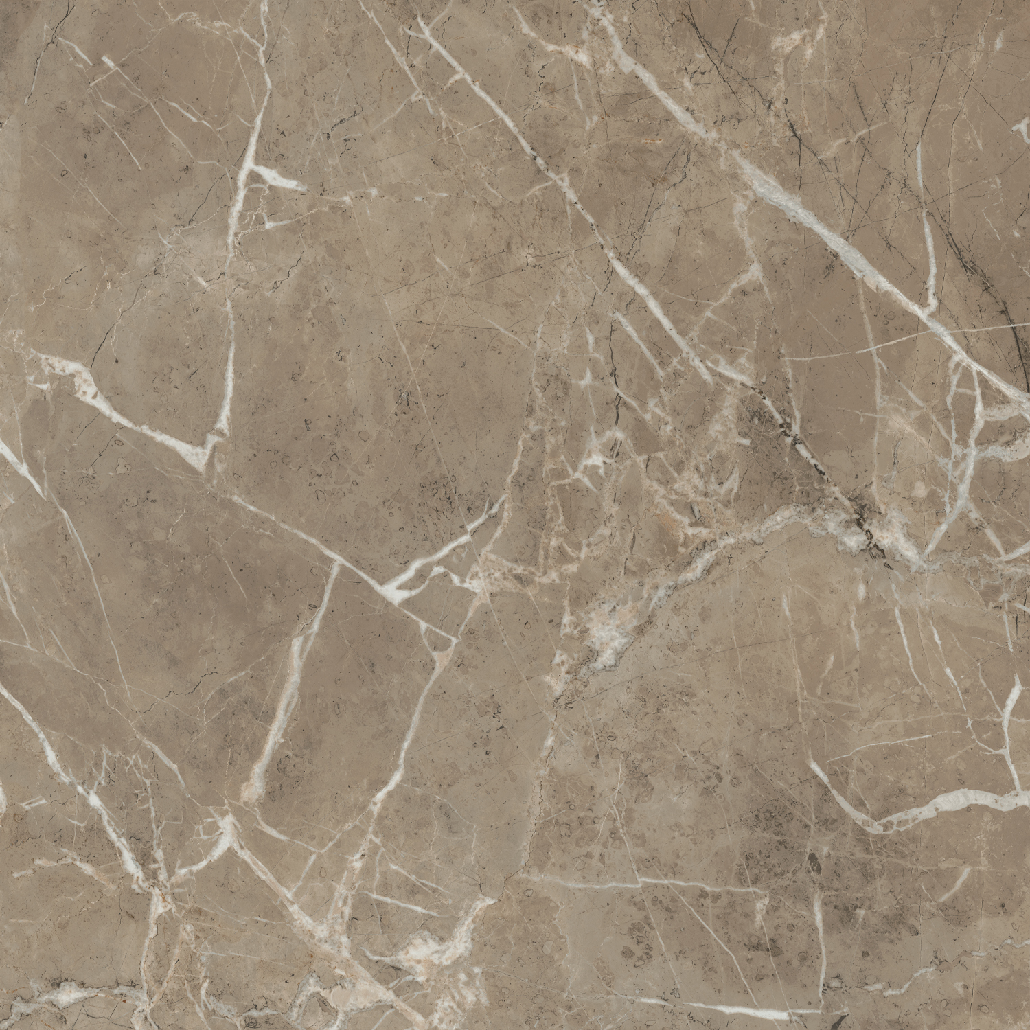 SG654122R Серенада бежевый тёмный лаппатированный обрезной 60x60 Kerama Marazzi фото 9