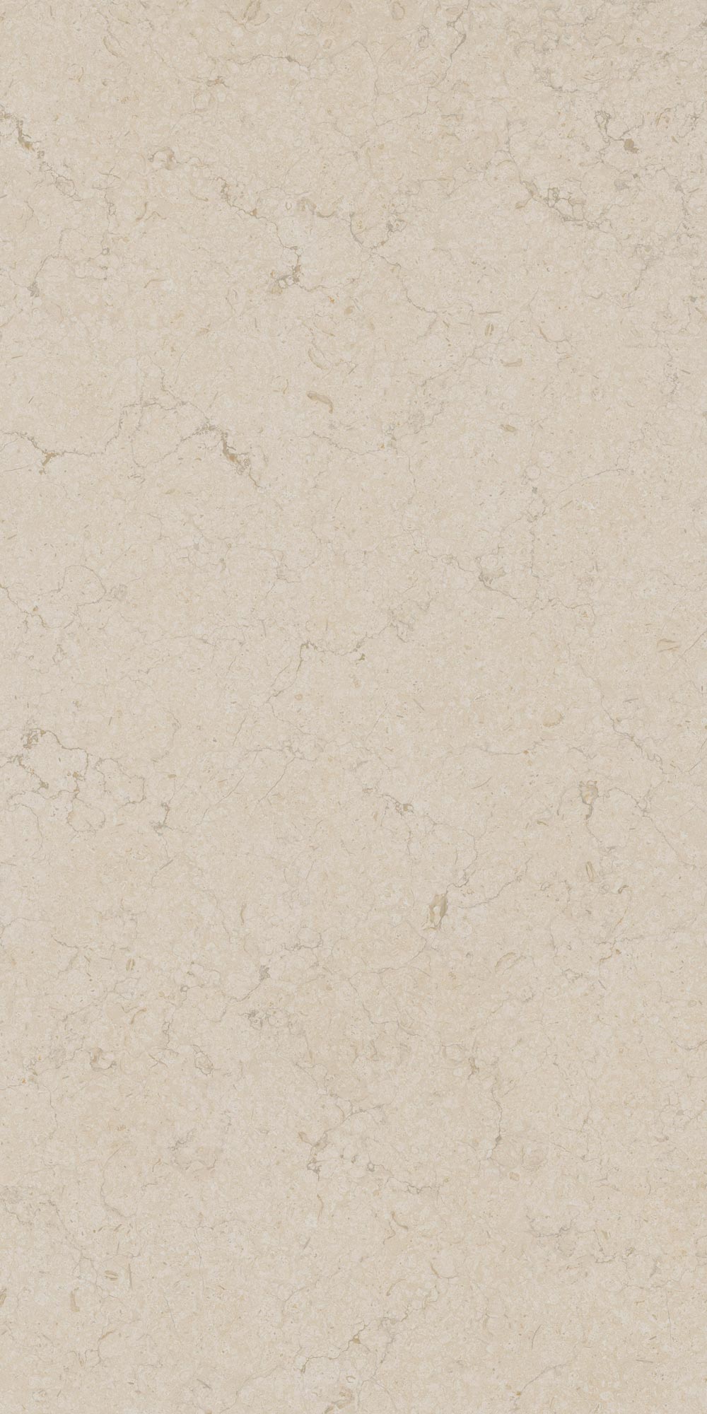 Limestone Beige Techstone 12 mm 160x320 Exterior Ceramica
