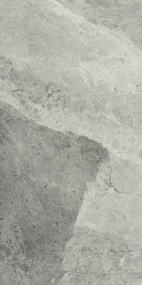 610015000358 Charme Extra Silver Nat Ret 30x60 Italon фото 5