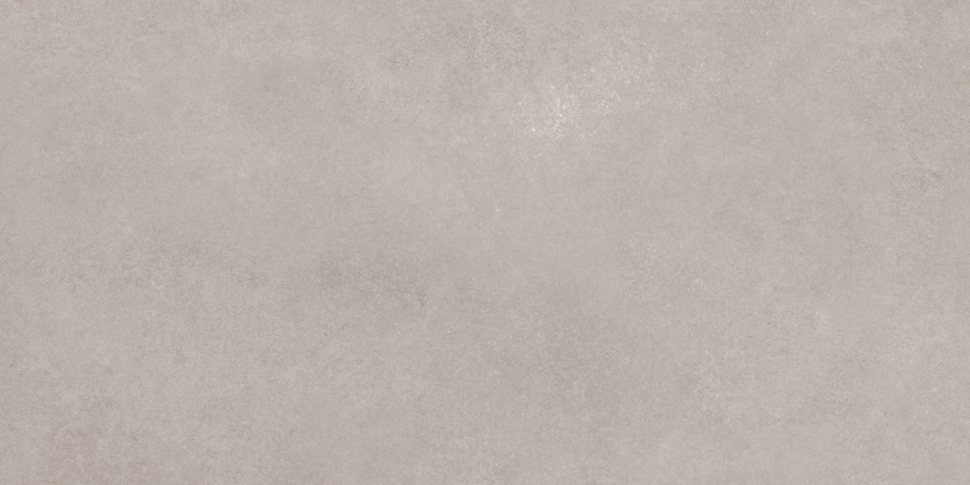 17534 Still серый ректификат 60x120 Meissen