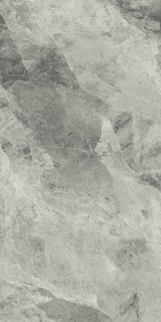 610010001689 Charme Extra Silver Nat Ret 80x160 Italon