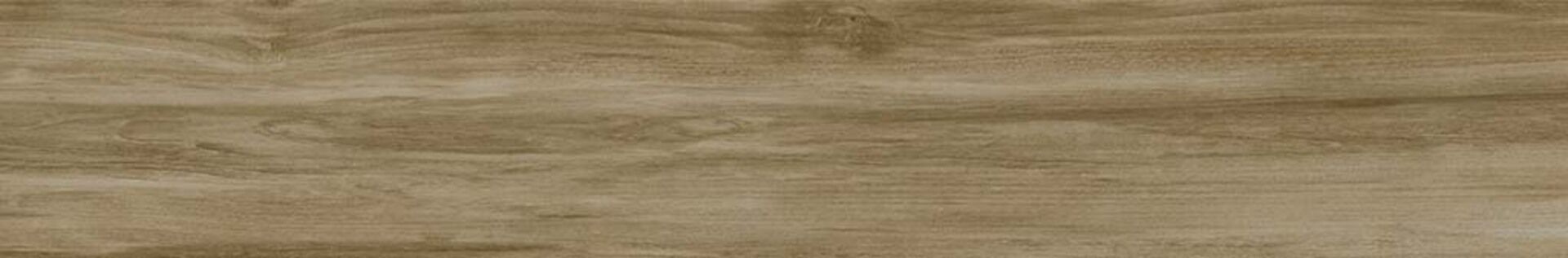 Alessandria Camel 19.5x120x0.9 Prissmacer фото 8