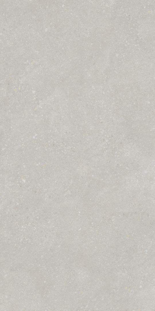 PT12F7048 Pietra Light Grey Matt 1200х600х9 Protiles