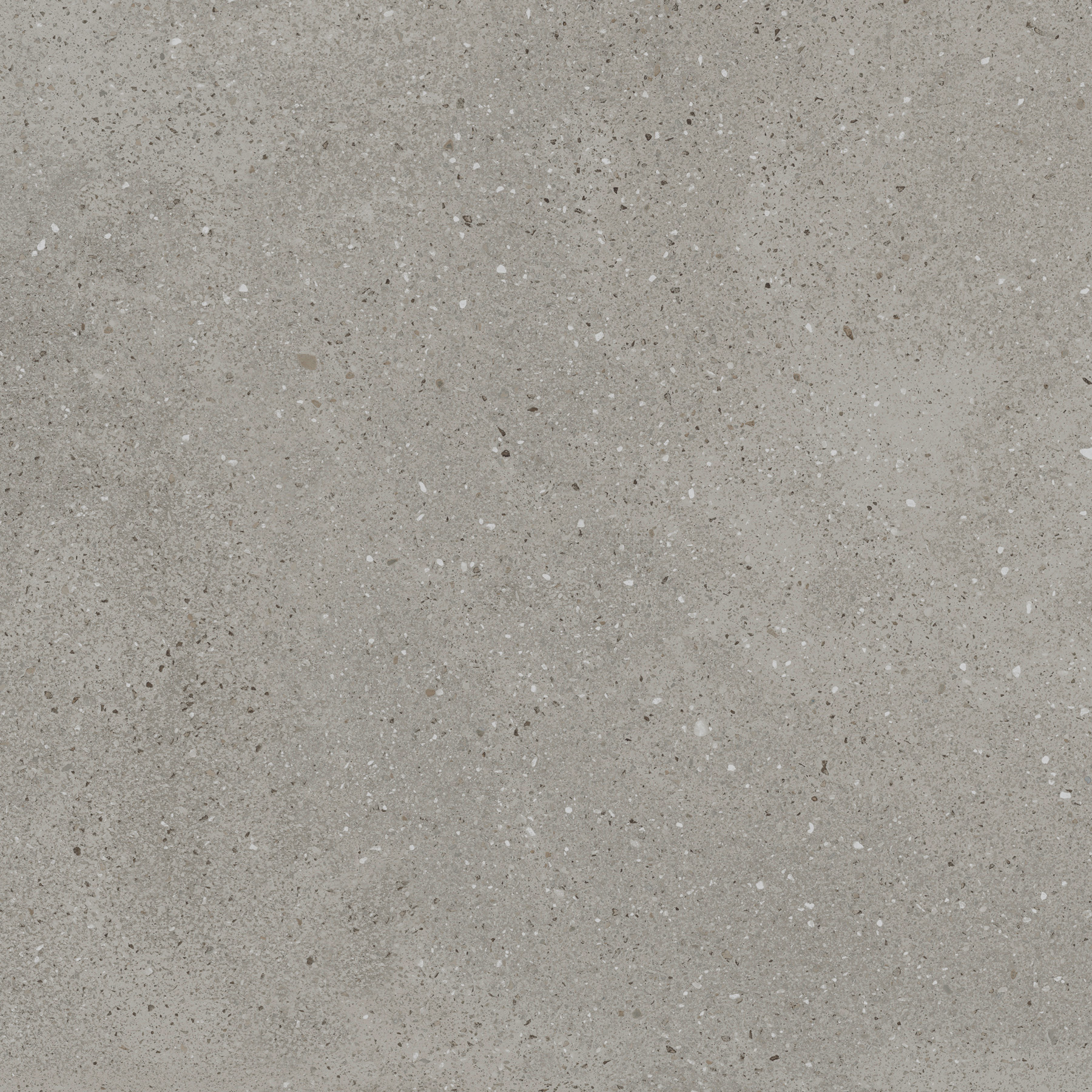 EX-204 Treviso Gris Матовая рельефная R11 60x60 Creanza фото 12