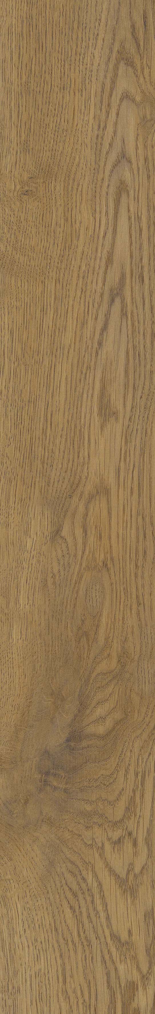 SGR51 Velaris Honey 9.2x60 Stargres фото 11