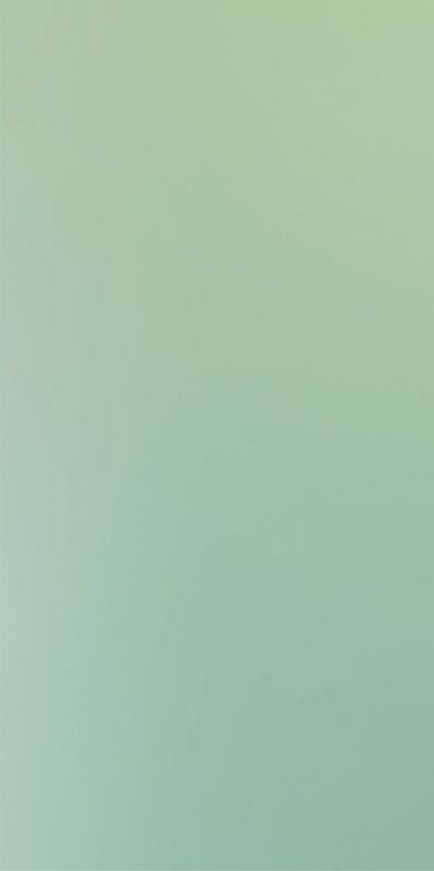 757518 Cromatica Grigio Verde C Opaca Ret 6mm 120x240 Cedit