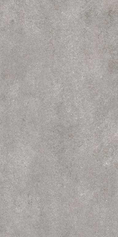 768581 Sensi Grey Fossil Nat Ret 6mm 120x240 Casa Dolce Casa