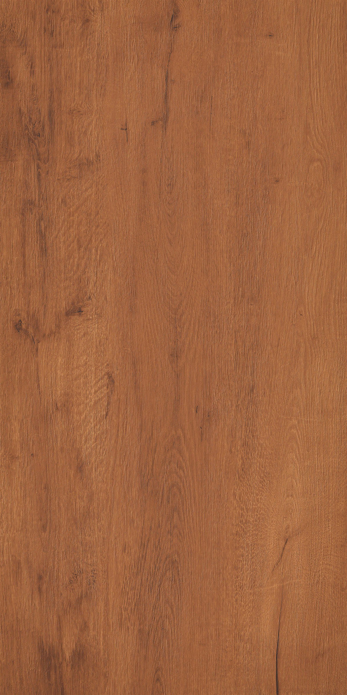 Kiel Brown Matt 60x120 Realistik