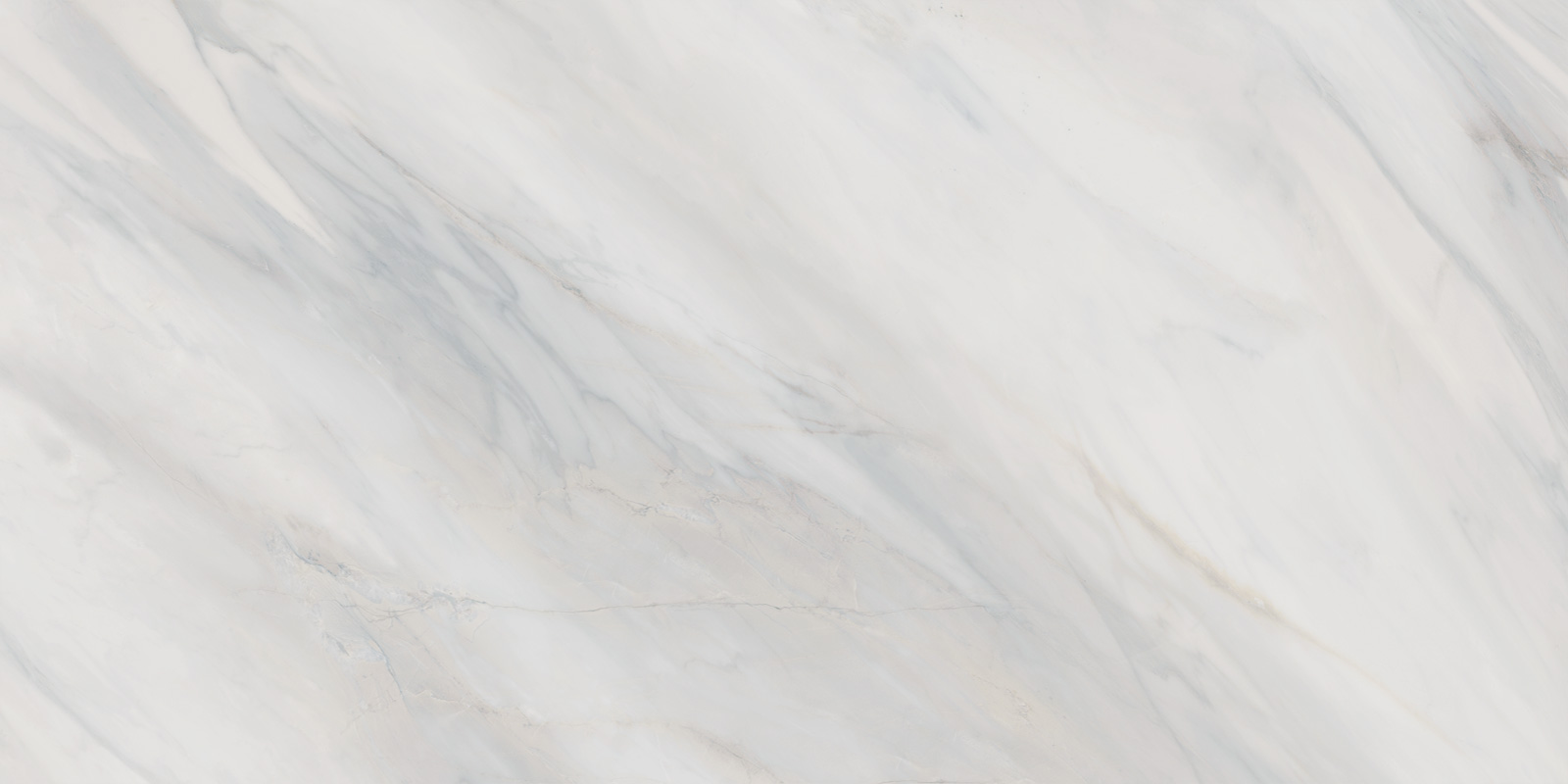 60120CAA03 Carolina Pearl Sugar 600x1200x9.5 Delacora