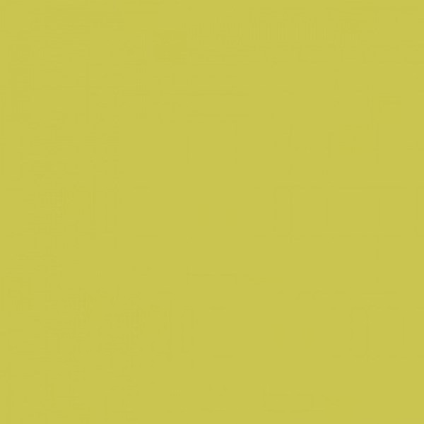 WAA1N454 Color One 20*20 RAKO