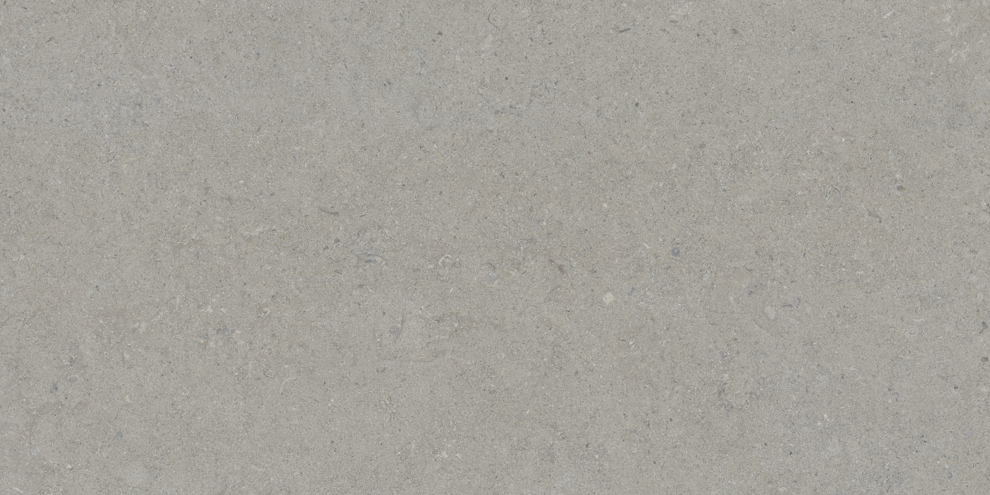 Calcare Silver 60x120 TAU Ceramica фото 2