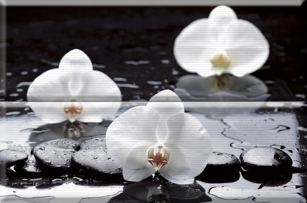 Composicion Wellness 02 White 30x45 (комплект 2шт) Absolut Keramika