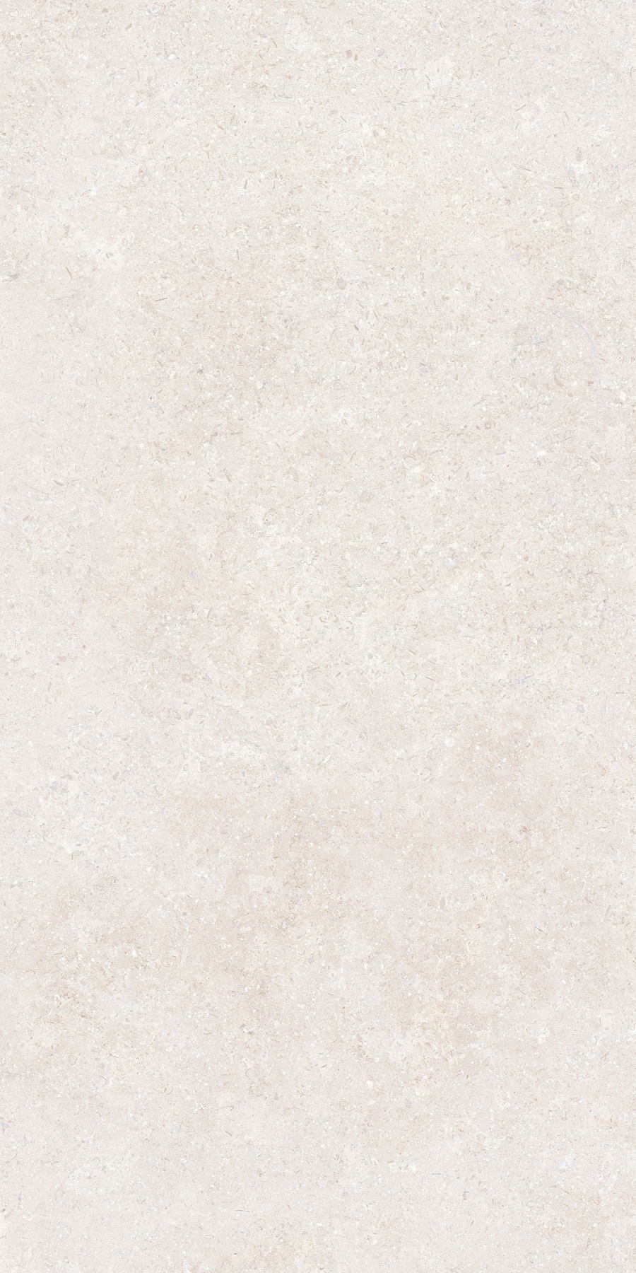 K948597R0001VTER SandStone Белый Матовый R10A Ректификат 60х120 Vitra