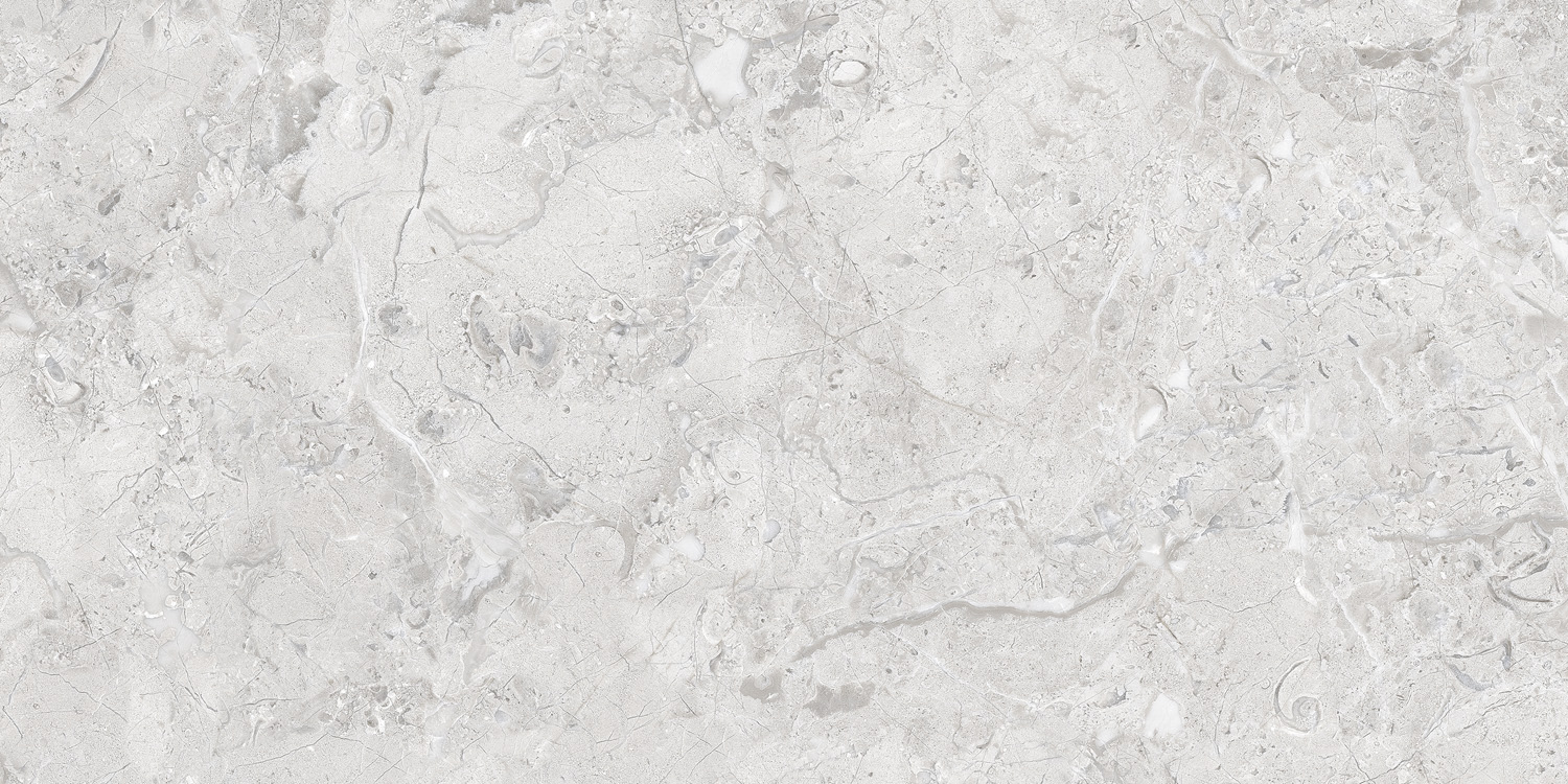 Elegance Grey Glossy Silver Line 60x120 Infinity Ceramica