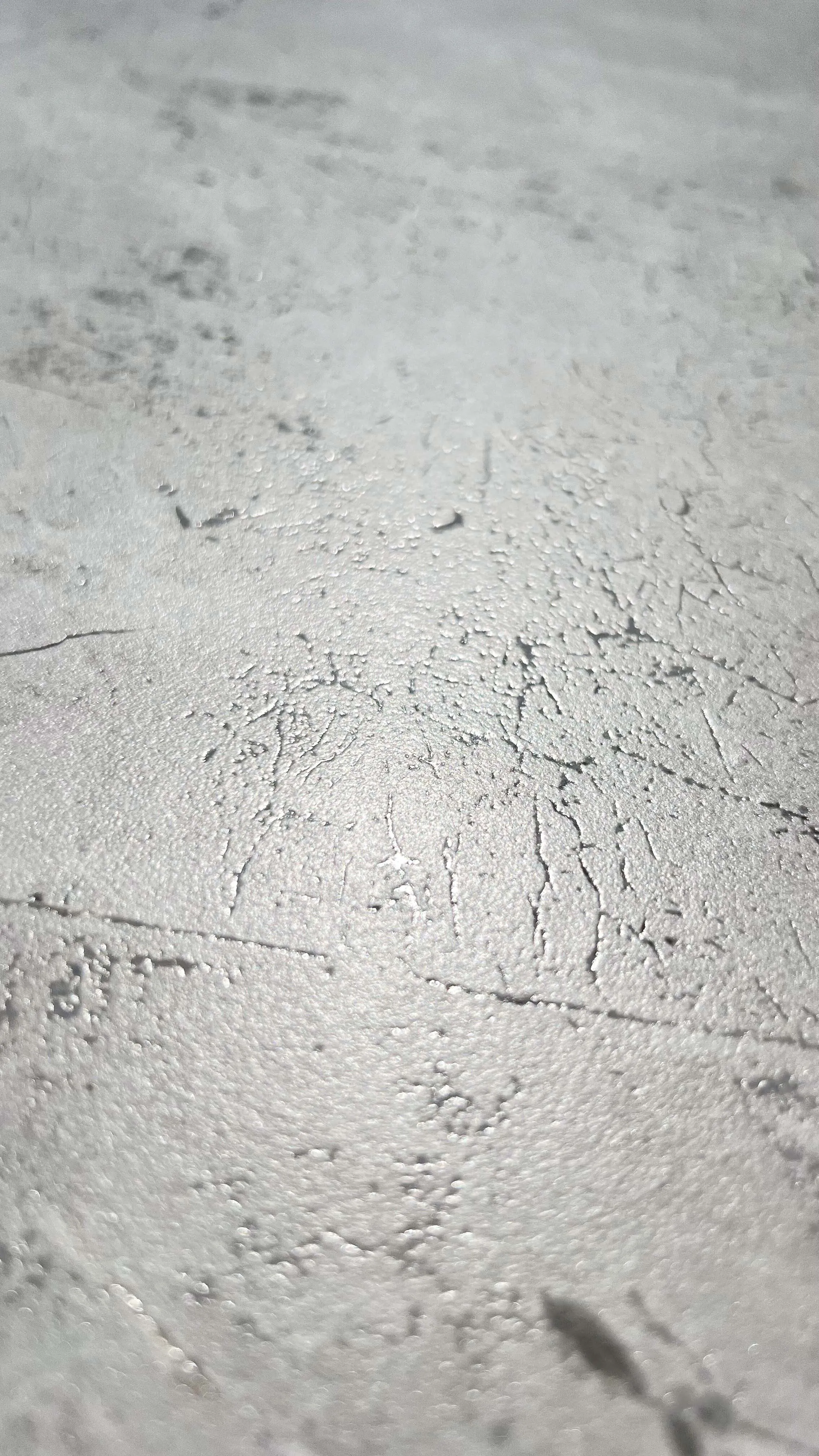 Grizli Grey Endless Velvet 60x120 Realistik фото 10