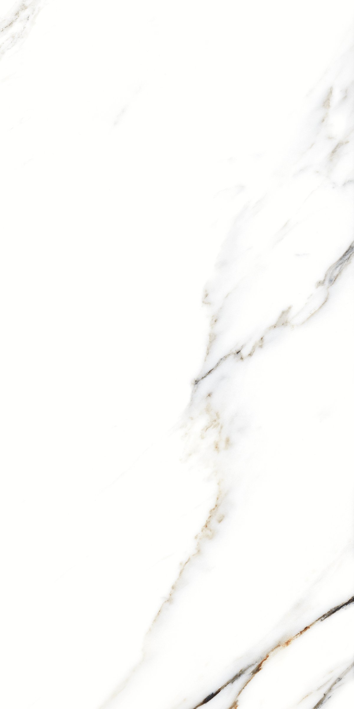 893 Fantastic White 120x60 Artcer