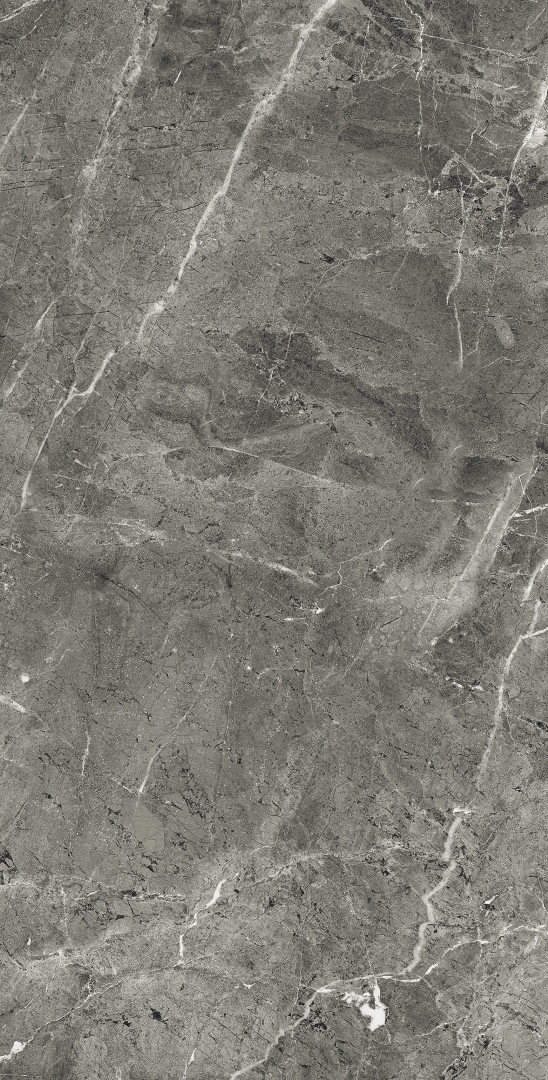 FP1028-A Florencia Grey Full Polished 60x120 Arcadia Ceramica