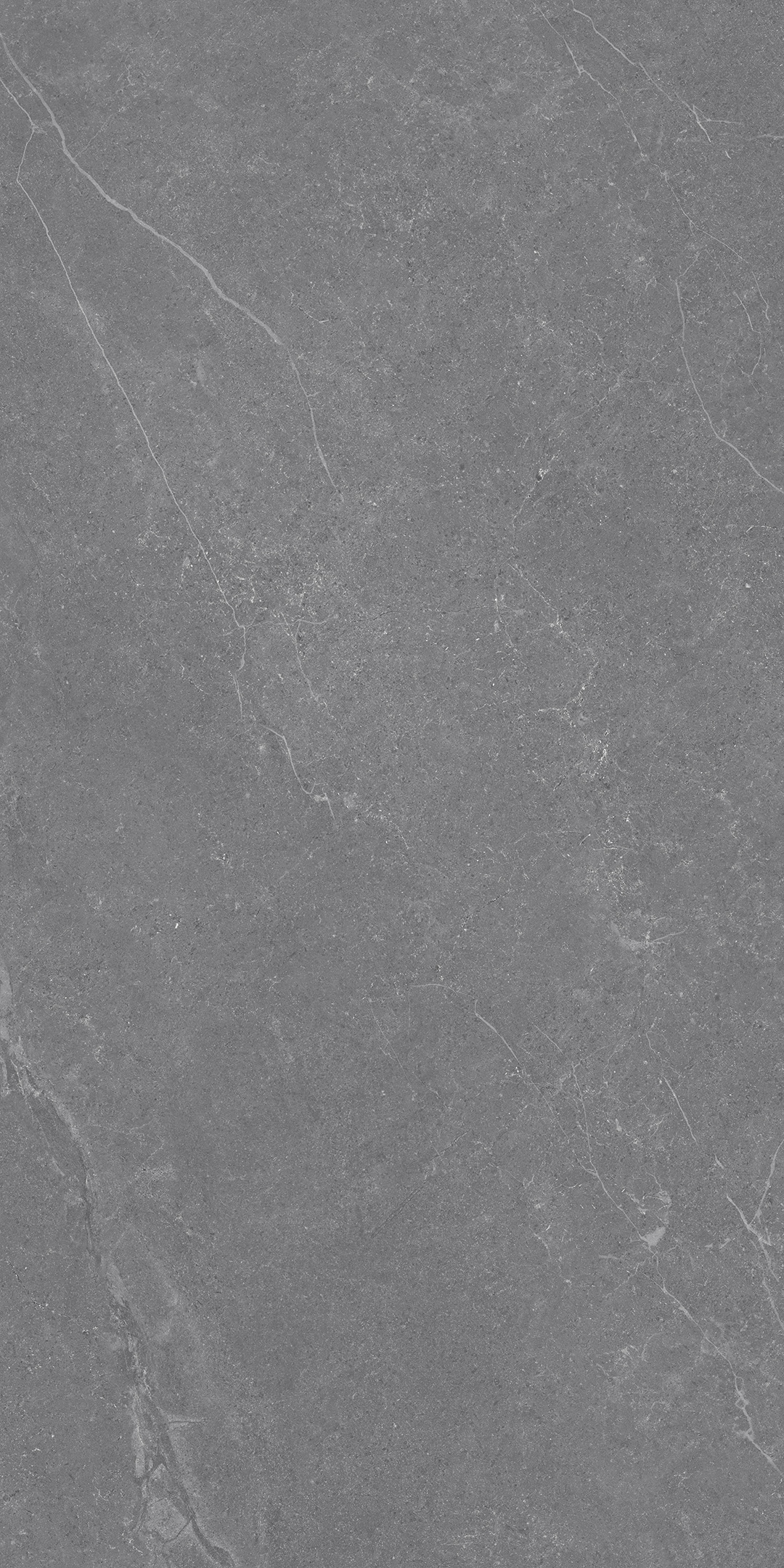 ZA-DJ12590 Glazed Карвинг 1200x600x9 Vizavi фото 3