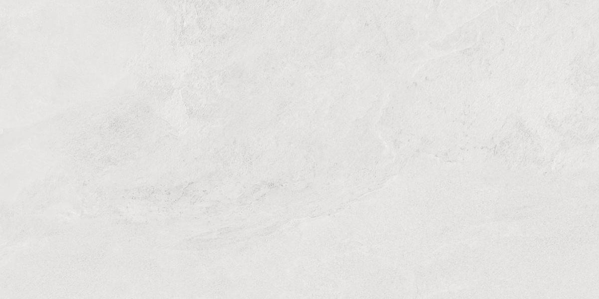 LP6012G0171R Porter Silver Pro светло-серый матовый R10 STR 59,5х119,1 Laparet