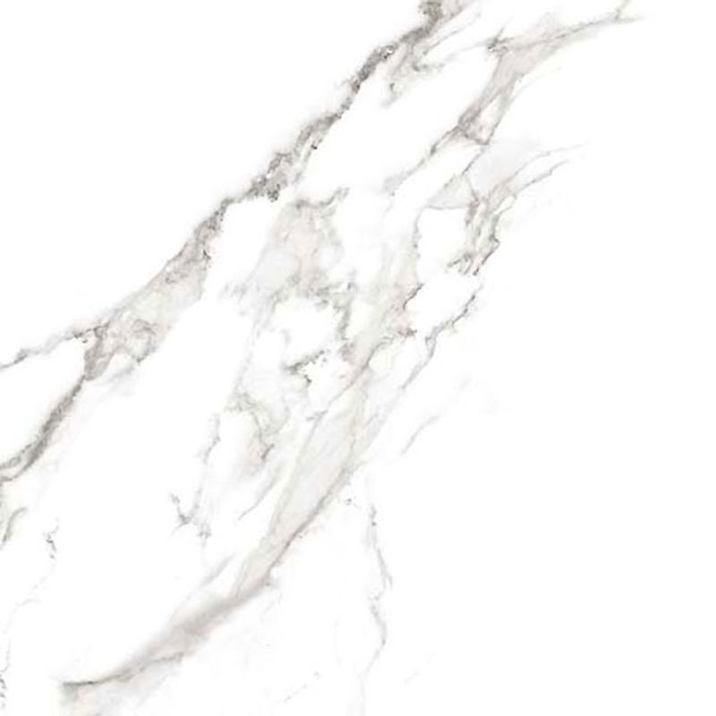 2951017 Marmoker Statuario Grigio Honed 59x59 Casalgrande Padana