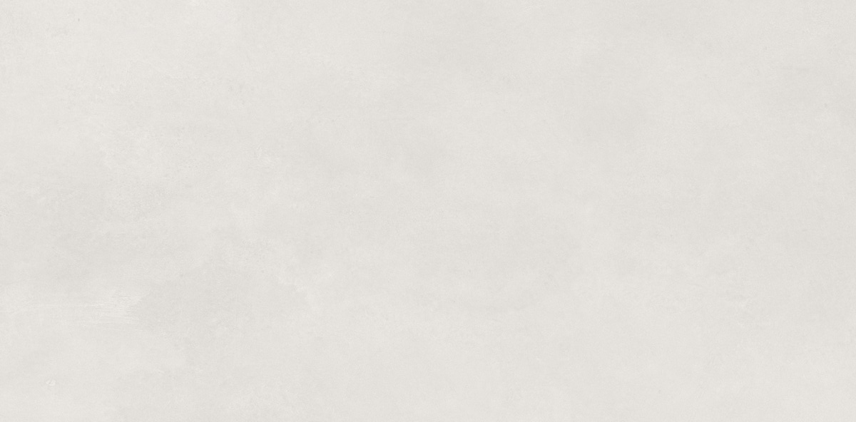 N110010 Aston Grey Matt 60x120 Neodom