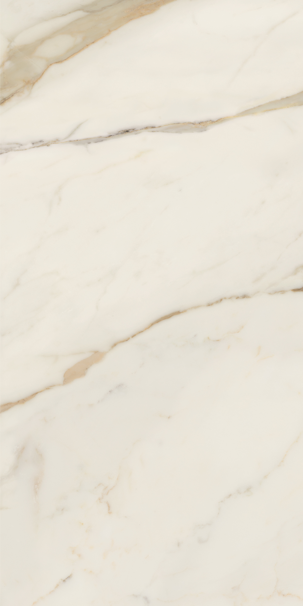 AIAT Golden White Matt RT 60x120 Caesar